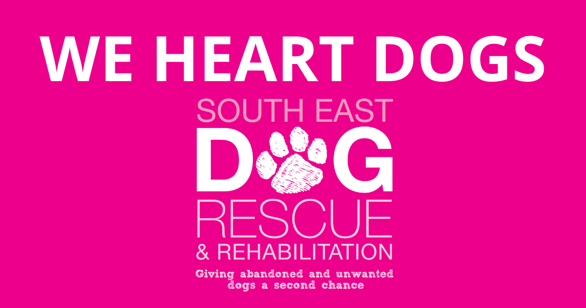 South east cheap dog rescue